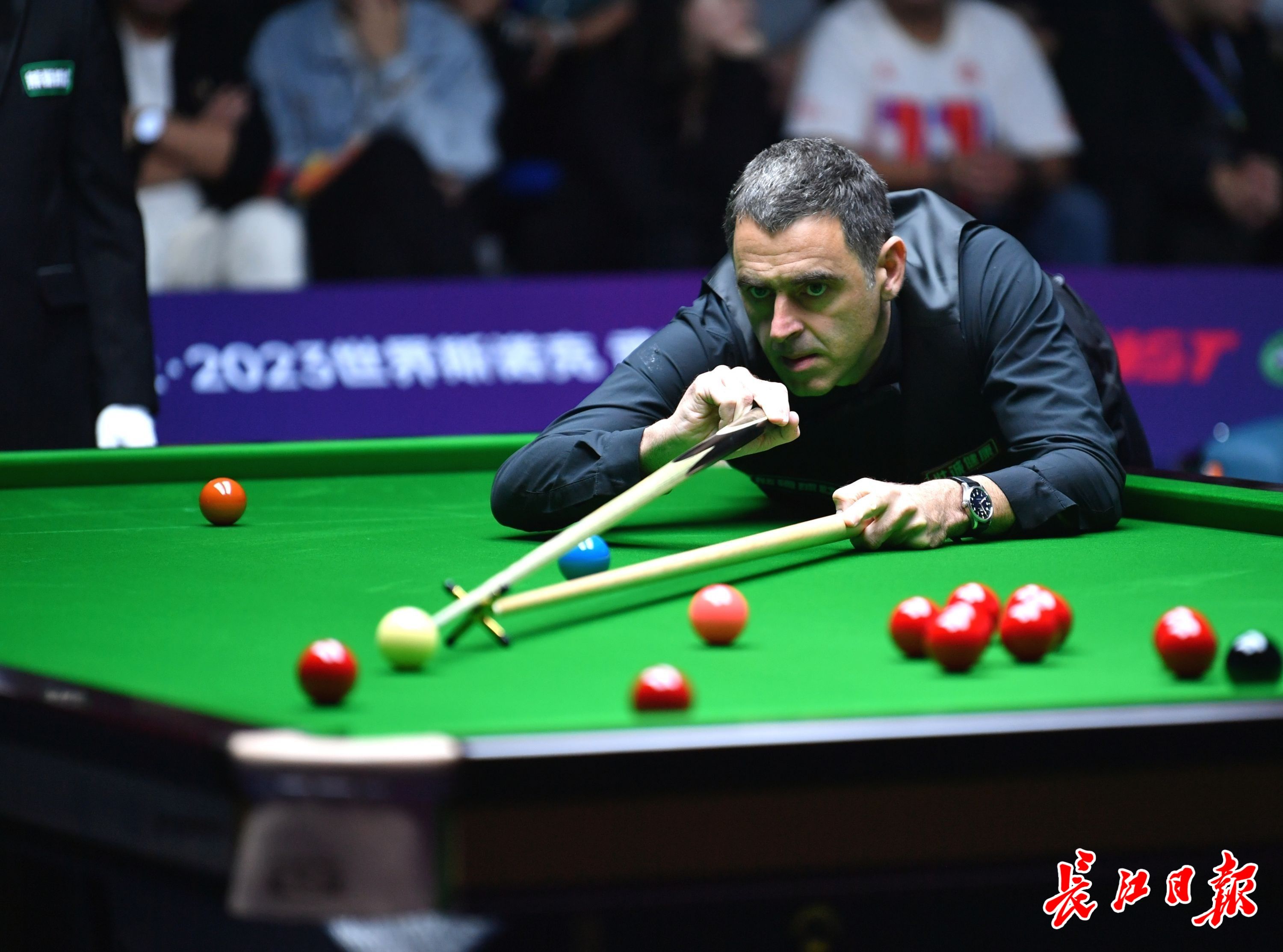 以体重每公 以体重每公